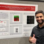 Poster Winner Fadhelmansoori