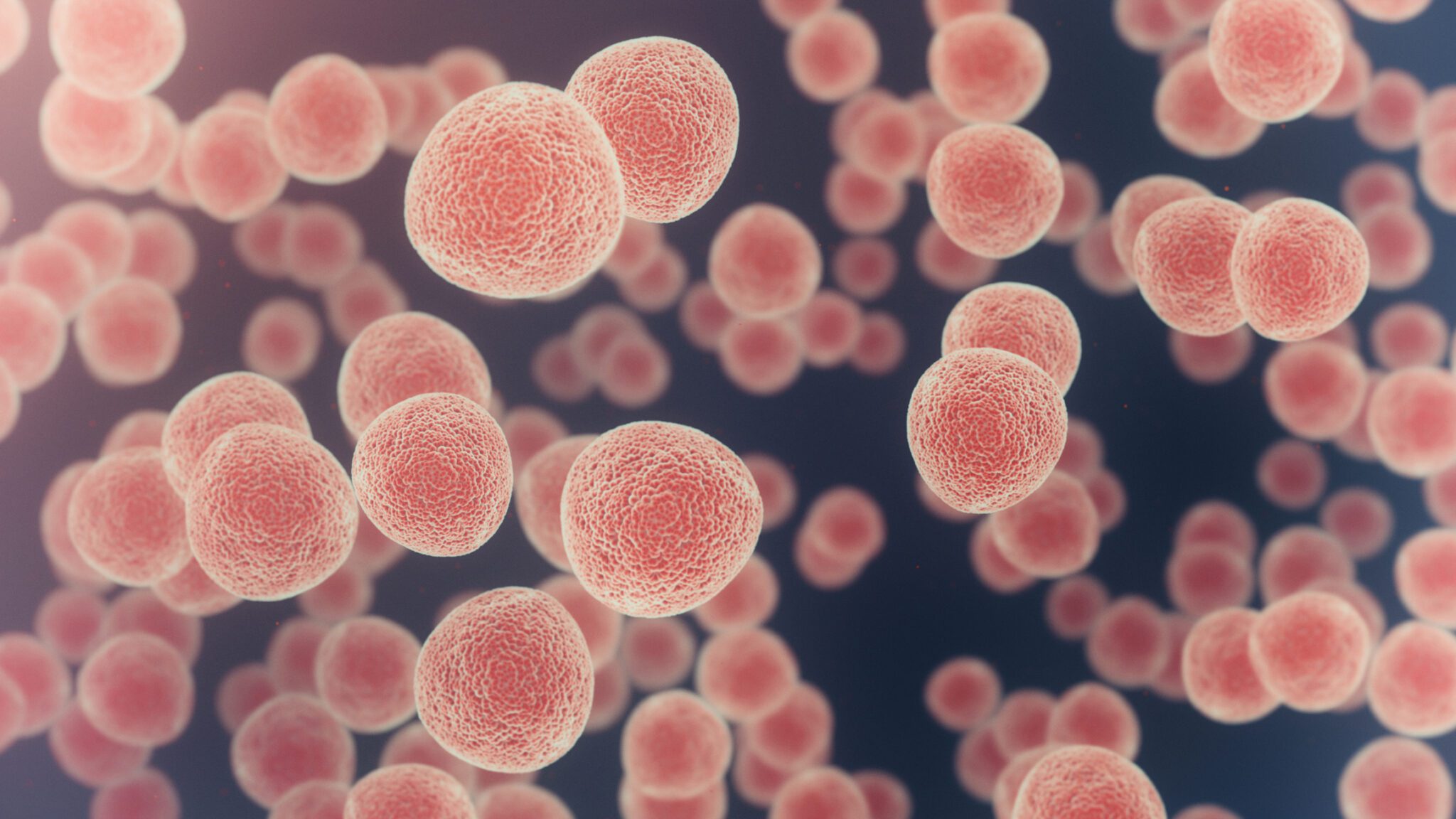 Cancer Cells Under Microscope