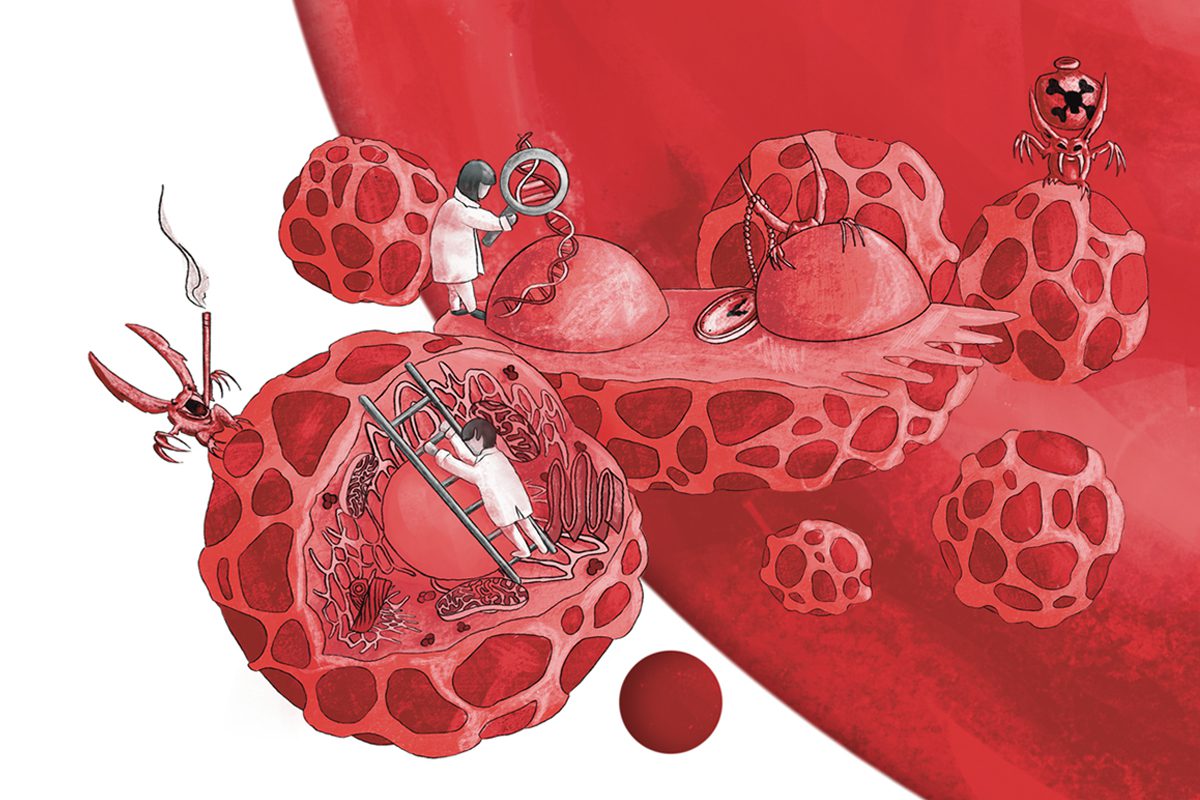 Kelly Bolton Illustration Drawimpacts 1200x800