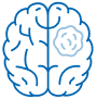 Brain Program Card Images