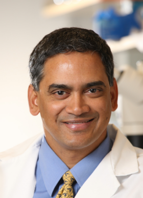 Kodi Ravichandran, PhD 