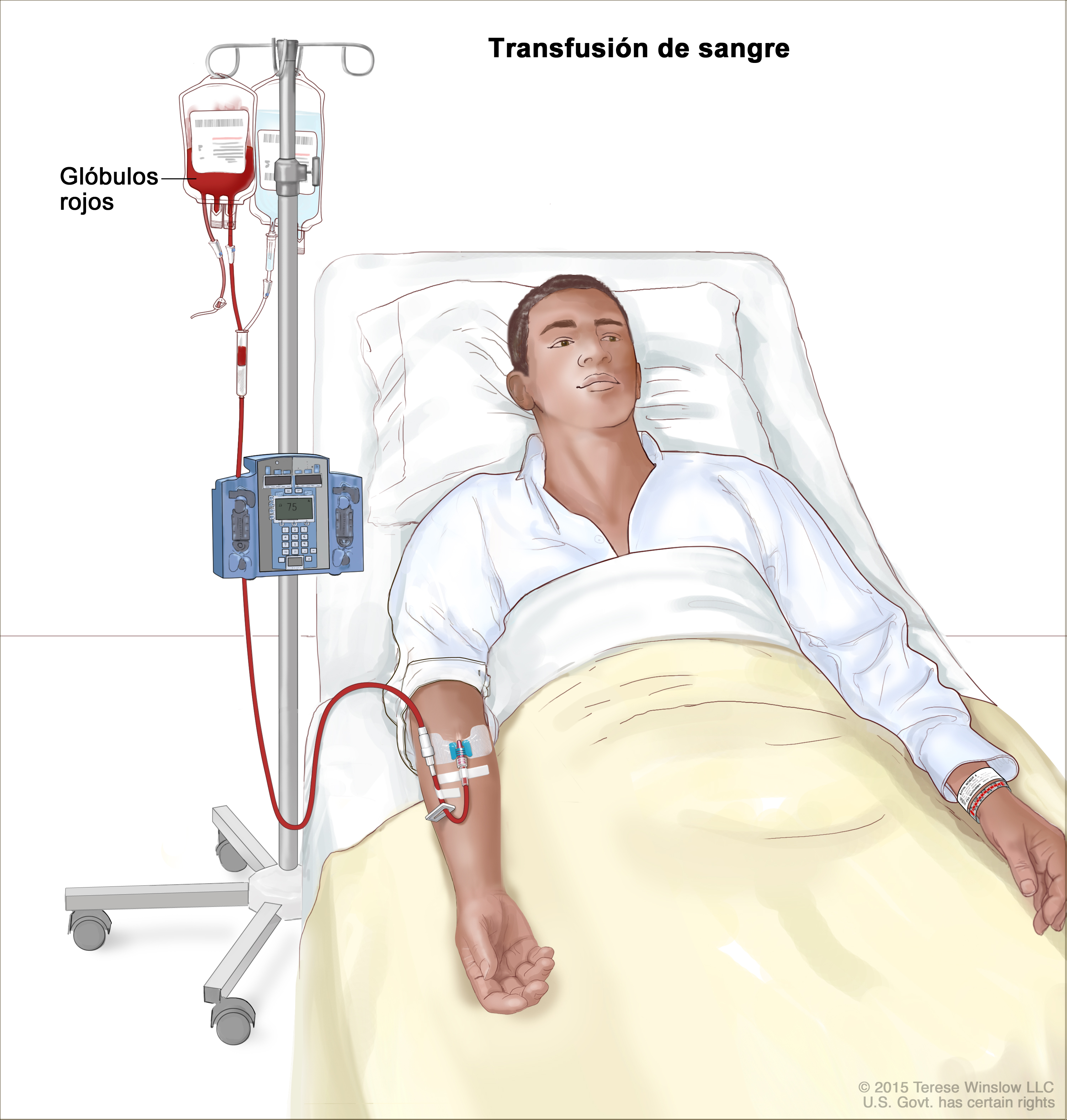transfusion-patient-siteman-cancer-center